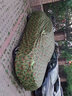 牧安奔驰c200l车衣e300l车罩glc gla c级e级s级牛津布防雨防晒车套 迷彩色 实拍图