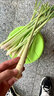 香茅草新鲜柠檬草叶食用香茅香料菜奶茶店用品调料泰国冬阴功汤料 1000g 实拍图
