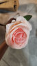 黛莉森仿真玫瑰花假花婚礼装饰花摆设客厅餐厅永生花摆件生日礼物送女友 10枝玫瑰-浅粉 实拍图