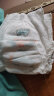 名典泰迪弱酸拉拉裤XL码40片【11-13kg】婴儿尿不湿超薄透气干爽尿裤 实拍图