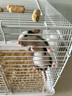 卡熙金丝熊仓鼠笼子便宜大的特超大豪华别墅专用60基础三层大空间宠物 47基础笼+水壶+食盆【白色】 实拍图