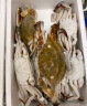 至鲜 梭子蟹1300g/7-8只整只当季液氮冷冻梭子蟹3-5两/只吕四黄海海鲜大螃蟹新鲜海蟹 实拍图