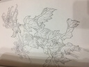 范本传真·白描花卉写生范本：百菊谱 实拍图