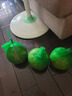 晨木鲜生 泰国青柚新鲜蜜柚 进口大果青皮柚子水果 青柚4个（净重约9-10斤） 实拍图
