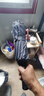 泽时雨24骨全自动反向伞超大雨伞男大号加固加厚结实抗风晴雨伞高档定做 双纤24骨超大124CM-灰色-送礼盒 实拍图