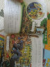 神奇校车·动画版（全套10册）儿童绘本3-6岁科普百科全书漫画故事书小学生课外阅读书籍 晒单实拍图