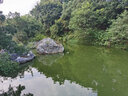 光威（GW） 光威碳素钓鱼竿38厘米钓竿真武超短便携鱼杆溪流竿手竿虾鲫鱼竿 2.7m 真武+前三节 实拍图