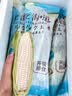 骑猴赶马漳州牛奶玉米【顺丰】生吃即食玉米新鲜采摘代餐爆浆牛奶水果玉米 【顺丰/JD】牛奶玉米 1.1斤 【2根】 【约2根】 实拍图