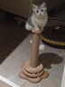珍佑宠猫抓板猫爬架一体耐磨不掉屑剑麻抓柱耐抓逗猫棒自嗨解闷猫咪玩具 实拍图