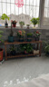 康朗达 花架子实木碳化阳台简约落地木质多层花架多肉绿萝花架小花盆架子 双层 长120 宽25 高55 实拍图