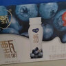 蒙牛纯甄甄酸奶寒地蓝莓风味酸奶PET瓶230g×10瓶（礼盒装） 晒单实拍图