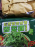 白象 方便面 香菜面单盒 120g/盒 含整颗香菜 泡面超香香香香菜方便面 实拍图