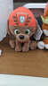 汪汪队立大功（PAW PATROL）汪汪队玩具毛绒全套狗狗玩偶公仔男女孩玩具旺旺队新年礼物 经典款-路马公仔 小号-坐高约15.2CM 实拍图