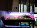 Atman鱼缸过滤桶 水族箱水草缸外置过滤器净水循环过滤设备CF过滤桶 CF-1200过滤桶【适用100-120cm鱼缸】 官方标配 实拍图