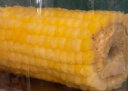 十月稻田 黄金8cm玉米段1.6kg 东北黄糯玉米 23年黏糯玉米棒 低脂杂粮 晒单实拍图