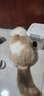 美悦宠物 猫抓板剑麻垫磨抓器耐磨大号猫玩具沙发垫子防猫抓猫窝磨爪板 M码40*60cm颜色随机 4颗螺丝钉 实拍图