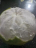 攸竹新鲜青皮葡萄柚子 黄金葡萄柚 爆汁葡萄柚 青皮西柚皮薄多汁肉嫩 3斤 普通装 实拍图