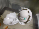 灵动创想（LDCX）我的小宠发光唱歌录音小鸟电子宠物玩具惊喜孵化小鸡小海龟 惊喜孵化小鸡-白色蛋壳28324 实拍图