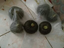 贝贝南瓜 绿小南瓜 板栗味 粉糯香甜 新鲜蔬菜 粉糯贝贝南瓜 3斤 装 实拍图
