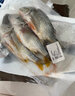 潮海堂海鲷鱼黄翅鱼鲜活两去冷冻黄脚立海鲜海鱼水产400g/袋食材生鲜 一袋黄翅鱼【350-400g/袋】3-4条 实拍图
