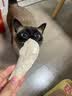 神经猫猫零食冻干猫咪零食鸡胸肉冻干成猫幼猫营养增肥主食猫粮鸡肉粒 【大块土鸡肉】 500g*3桶 【3桶约135个】 实拍图