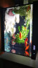 森森金麟超白玻璃鱼缸客厅小型懒人鱼缸LE-380家用水族箱生态金鱼缸 晒单实拍图