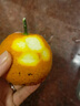 拜格婴儿辅食工具可收纳小麦秸秆菜板砧板宝宝辅食菜刀水果刀辅食剪刀 北欧米【辅食刀具5件套】 实拍图