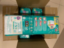 帮宝适（Pampers）新款一级帮 日本原装进口 儿童拉拉裤超薄透气吸收防漏干爽学步裤 拉拉裤 XL(12-22kg)38片 实拍图