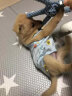 dfang狗垫子冬季狗狗窝垫宠物地垫防滑防水易清洗四季狗垫睡垫pvc地毯 小梦想 裁剪款  单张60*140*0.4cm 实拍图