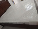 清寻（QINGXUN）床垫席梦思 床垫子1.5x2米弹簧床垫乳胶椰棕垫20cm厚单人双人租房 20cm独立圆簧+针织面料（适中） 1.8x2米 实拍图