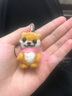 抖音同款羊毛毡戳戳乐diy材料包手工 圣诞柴犬猫咪小动物猫咪手工diy挂件玩偶 【柴犬+瓜子松鼠两款一起】（手机链送工具） 实拍图