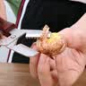 新厨仕（Necooks）新款板栗开口器剥板栗自动回弹板栗夹栗子开口器剪剥壳去皮工具 三合一经典款【去壳+刮毛+开一字】 实拍图