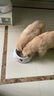 华元宠具（hoopet）狗狗碗狗盆不锈钢猫咪碗食盆喂食喝水宠物防打翻狗粮猫粮专用饭盆 双层可爱奶牛 打翻可退 XL 实拍图
