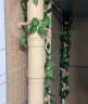 盛世泰堡仿真花藤绿植藤条绿萝装饰吊顶藤蔓空调管道餐厅布置90叶5条装 实拍图