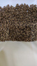 佳乐滋日本银勺猫粮1.4kg 佳乐滋成猫粮英短美短通用挑嘴营养成猫猫粮 实拍图