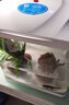 森森（SUNSUN） 鱼缸水族箱金鱼缸带灯鱼缸过滤器玻璃鱼缸桌面鱼缸 白色 高清玻璃HR-230（不带18件） 实拍图