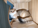 珑小宠猫爬架猫窝加粗大型猫树一体太空舱猫架子小户型不占地麻绳猫玩具 145cm 5层 【双太空仓多窝T4款】 实拍图