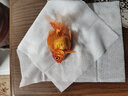 AIPHAROW百褶泰狮冷水金鱼精品活鱼进口f1红菠萝泰师樱花黑色百褶裙国粹 8-10CM红色精品百褶泰狮1条 实拍图