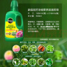 美乐棵 通用营养液500ML/瓶磷酸二氢钾花肥植物绿萝发财树营养液肥料 实拍图