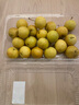 梦宛怡辽宁鞍山特产南果梨东北当季酒香水梨子现摘新鲜酥脆南国梨水果 带箱5斤果王约16-20粒 精品果 实拍图