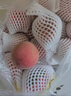 佐什冬桃鲜桃子脆甜软桃新鲜当季时令水果 3斤装（单果约80-120g） 实拍图