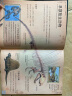 惊人的骨头：消失的恐龙+动物世界+头骨之谜（套装共3册） 实拍图