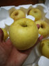 四叔公果蔬（现摘现发）黄金奶油富士苹果 山东烟台栖霞金富士孕妇 当季水果 精选中大果 5斤 实拍图