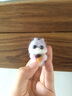 抖音同款羊毛毡戳戳乐diy材料包手工 圣诞柴犬猫咪小动物猫咪手工diy挂件玩偶 【柴犬+瓜子松鼠两款一起】（手机链送工具） 实拍图