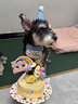果思萌 宠物狗狗生日猫咪蛋糕手工自制泰迪金毛柯基宠物零食定制含头像 6寸鸡肉（含头像） 实拍图