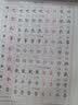 司马彦字帖  小学生语文写字课课练二年级部编版上册/二年级语文课本同步练字帖上册规范字 二年级字帖上册 字帖二年级上册 实拍图