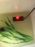 老漁匠鱼缸加热棒乌龟金鱼水族自动恒温器淡海水通用迷你控温加热加温棒 白红25W 超低水位　离水断电　超温保护 实拍图