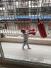 竞派 儿童拳击沙袋拳套散打套装吊式实心耐磨奥特曼沙包室内训练器材 奥特曼红色沙袋拳套组合 实拍图