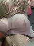 浪莎内衣女小胸聚拢上托收副乳蕾丝无钢圈草本抑菌文胸罩 紫色 40C 实拍图