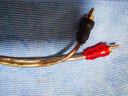 臻威双莲花头音频线2RCA专业级公对公二对二红白AV音频信号线DVD电脑电视接音响箱功放线-0.5M 实拍图